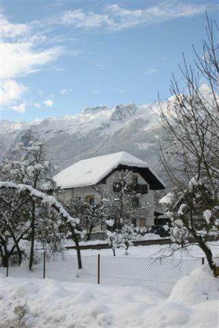 Apartment Apartma Jager Bovec